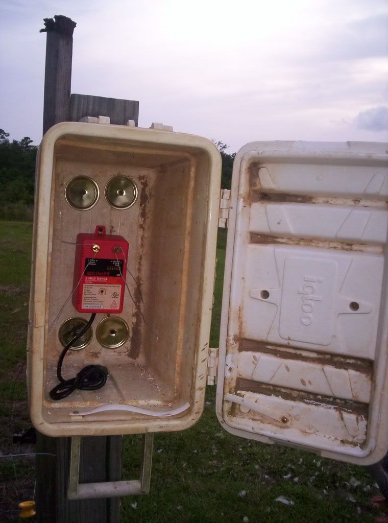 Had to share!!!!!!!!!! - Goats