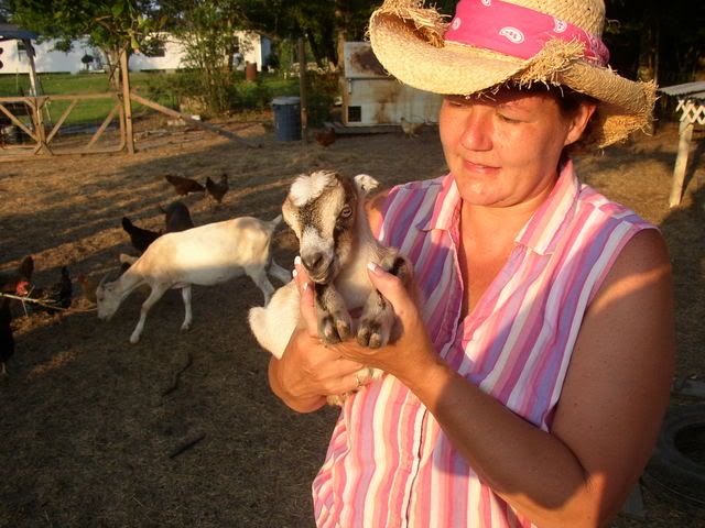 Finally pics!!!!!!! - Goats