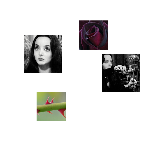  photo morticia1_zpsob7t4ul6.png