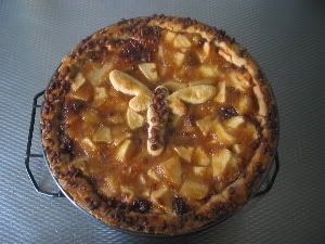 http://i182.photobucket.com/albums/x11/derizann/appeltaart.jpg