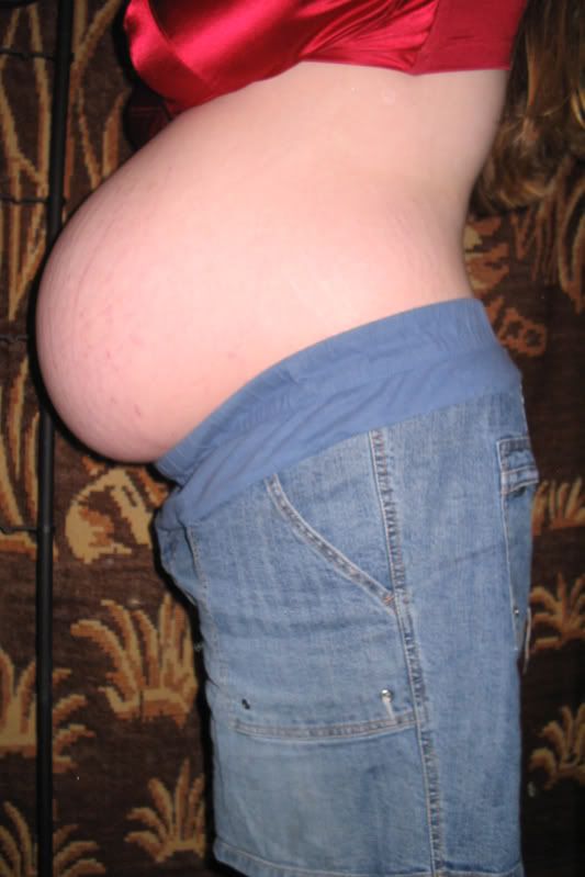 10_month_belly_side.jpg 10 months pregnant with L picture by Xakana