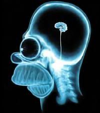 homer-simpson-brain.jpg