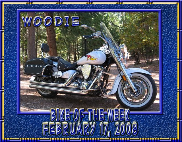 WoodieFeb172008-1.jpg picture by new_roadie