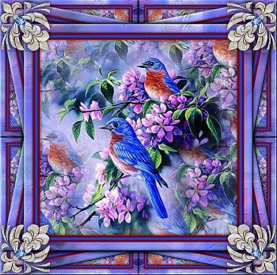 Bird5FpurpleFrame.jpg picture by cancian2