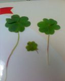 th_06-19-08_2250.jpg