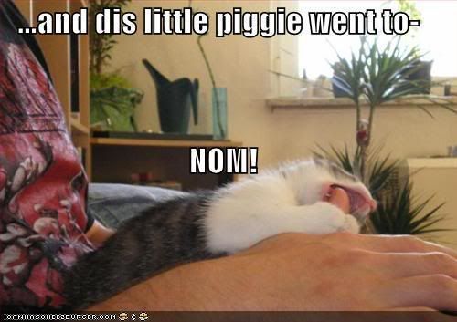 funny-pictures-nom-piggy-cat.jpg