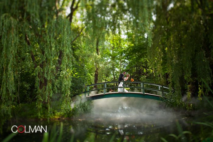 IMAGE: http://i182.photobucket.com/albums/x148/jcolman_photo/eric%20and%20danielle/eric-168.jpg