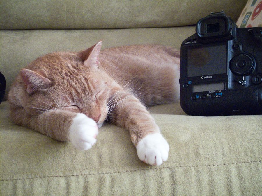 Best Cables/Locks for Securing Pelican Cases? FM Forums