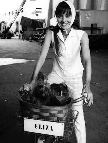 audrey04.jpg audrey hepburn image by karadzic_eva_86