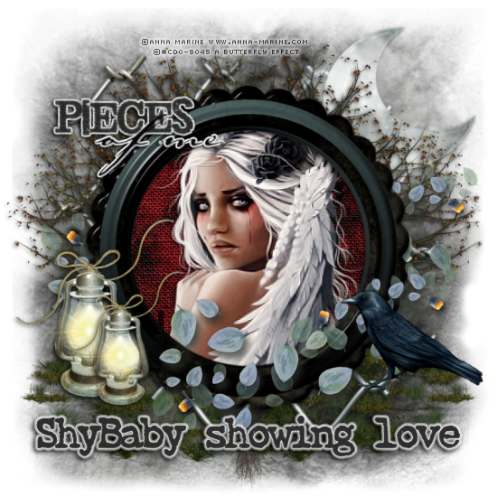  photo ShyBabyshowinglovePiecesMC-vi_zpsslnhm4vz.png