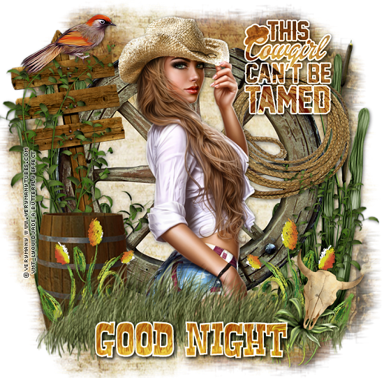  photo good night cowgirl_zpsm11zsa49.png