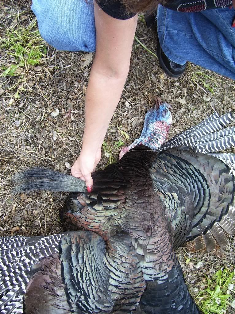 07TurkeyBeardPic.jpg