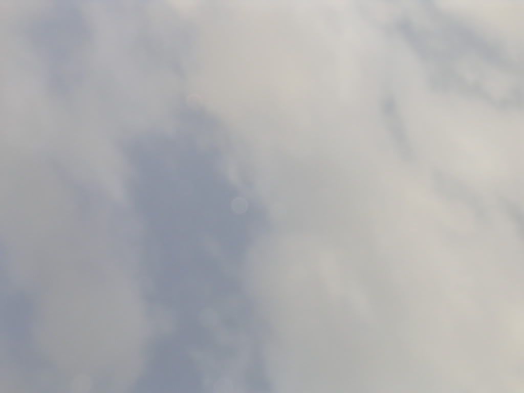 DSCN2044.jpg