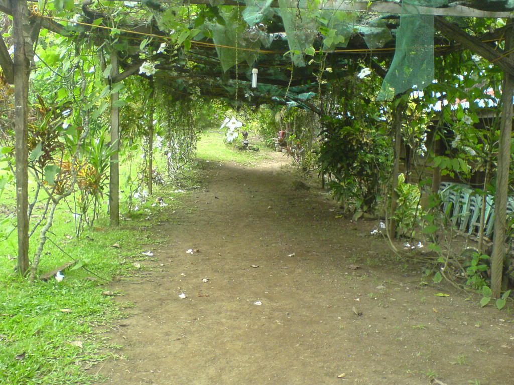 DSC00002.jpg picture by xon86
