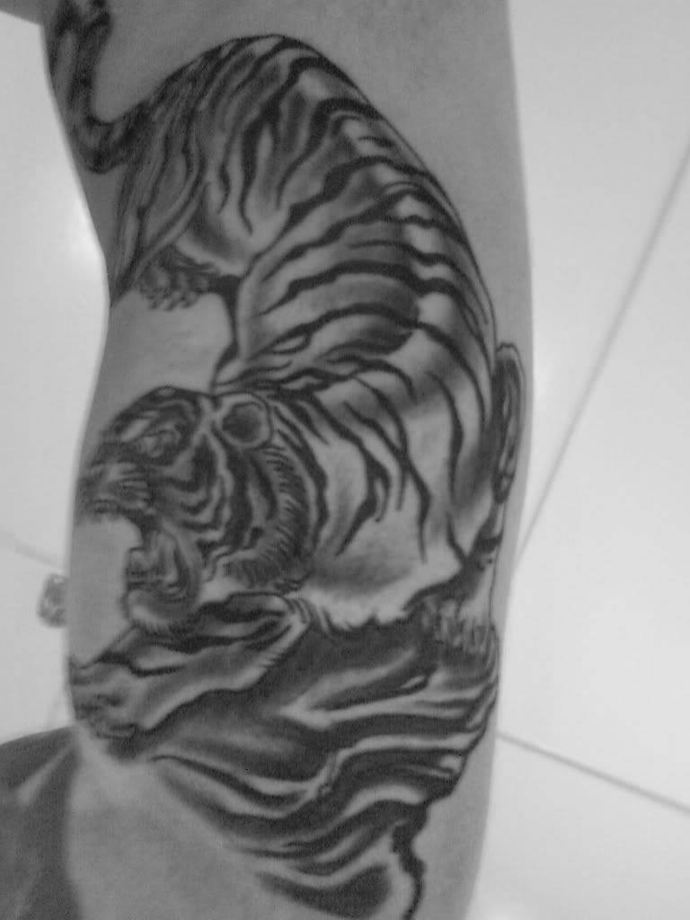 http://i182.photobucket.com/albums/x170/jensa_H/Tigern.jpg
