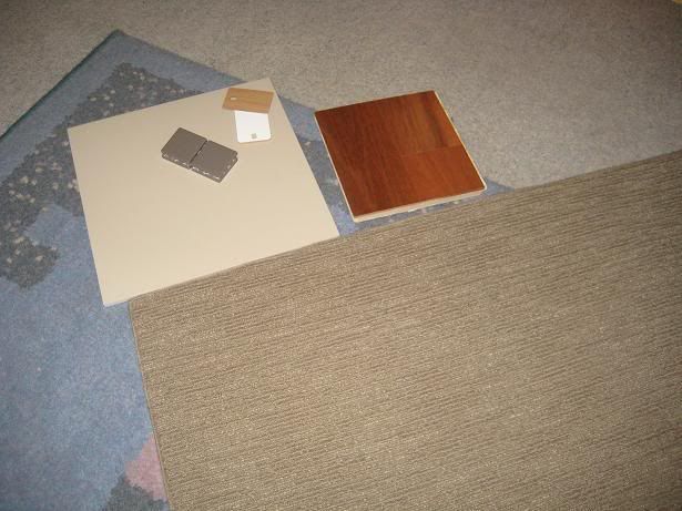 Now for carpet, light or dark? What do you think???