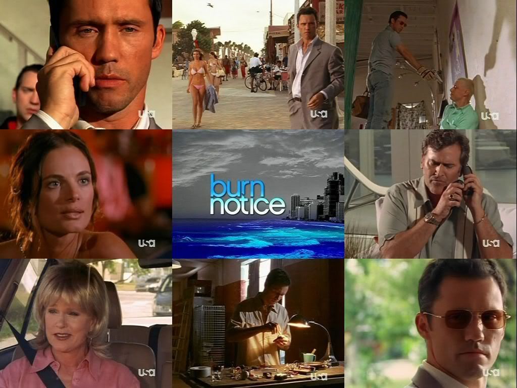 http://i182.photobucket.com/albums/x18/rikerdonegal/Burn%20Notice/BurnNotice.jpg