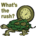 turtle.gif Turtle image by hummab50