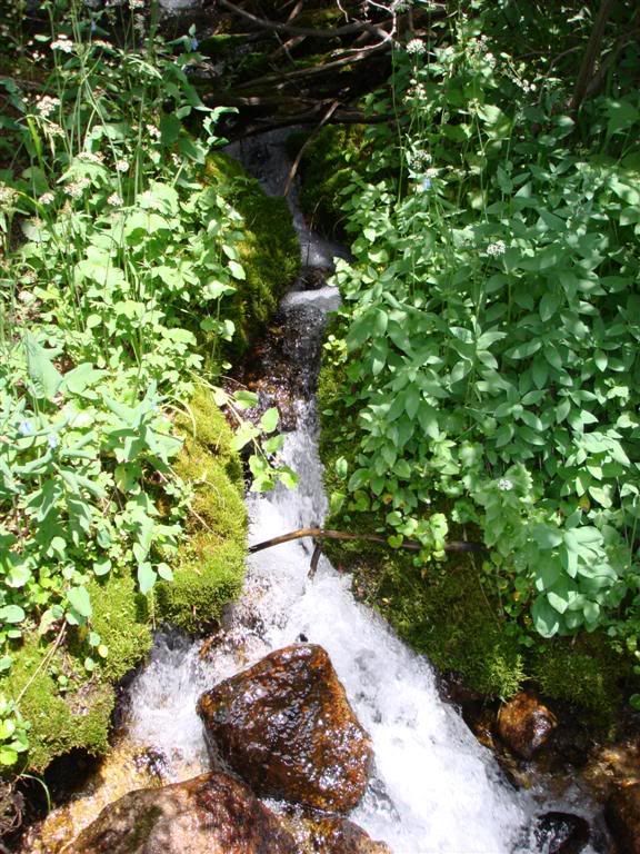 Waterfall.jpg