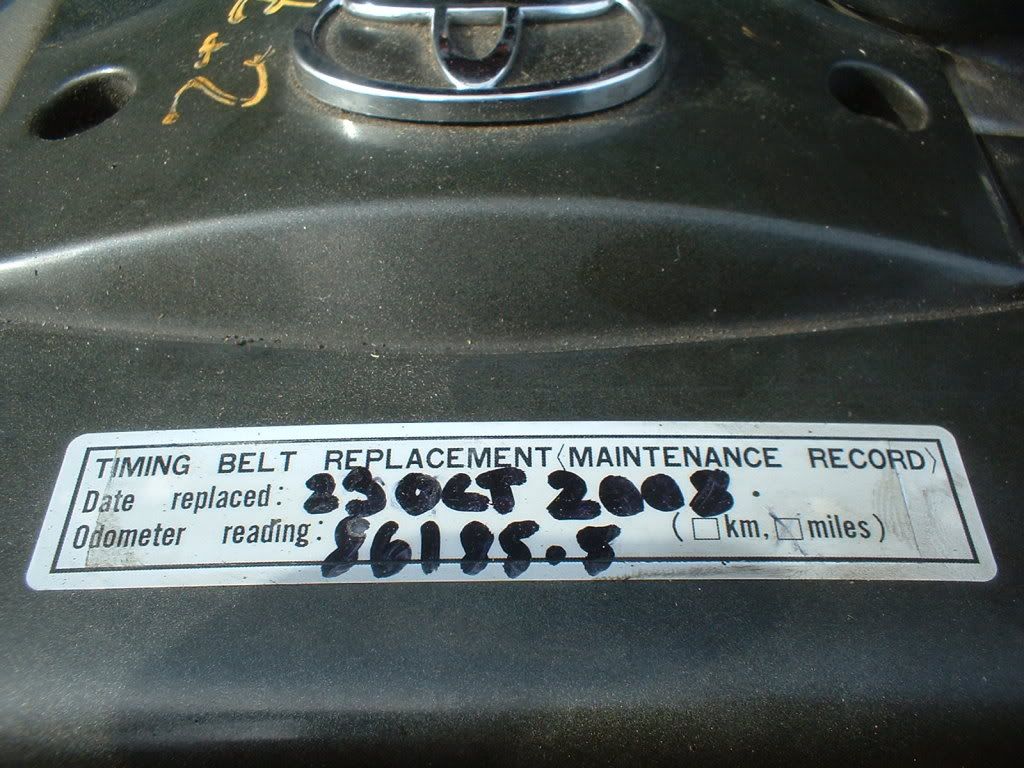 Timing Belt Sticker Photo by suprahajimoto Photobucket