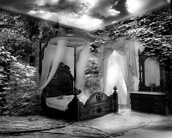 bed black and white Pictures, Images and Photos