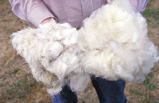 Natural wool temperature