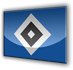 hsv-3.png