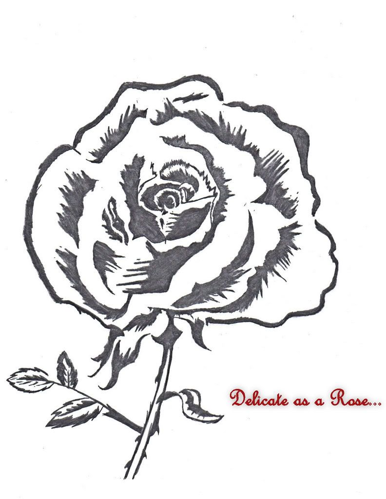Posted Image