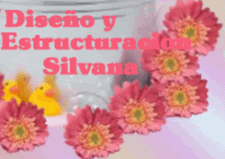 reto1a.gif picture by SILVIS3