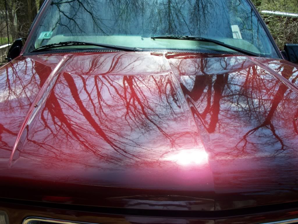 100_0501.jpg