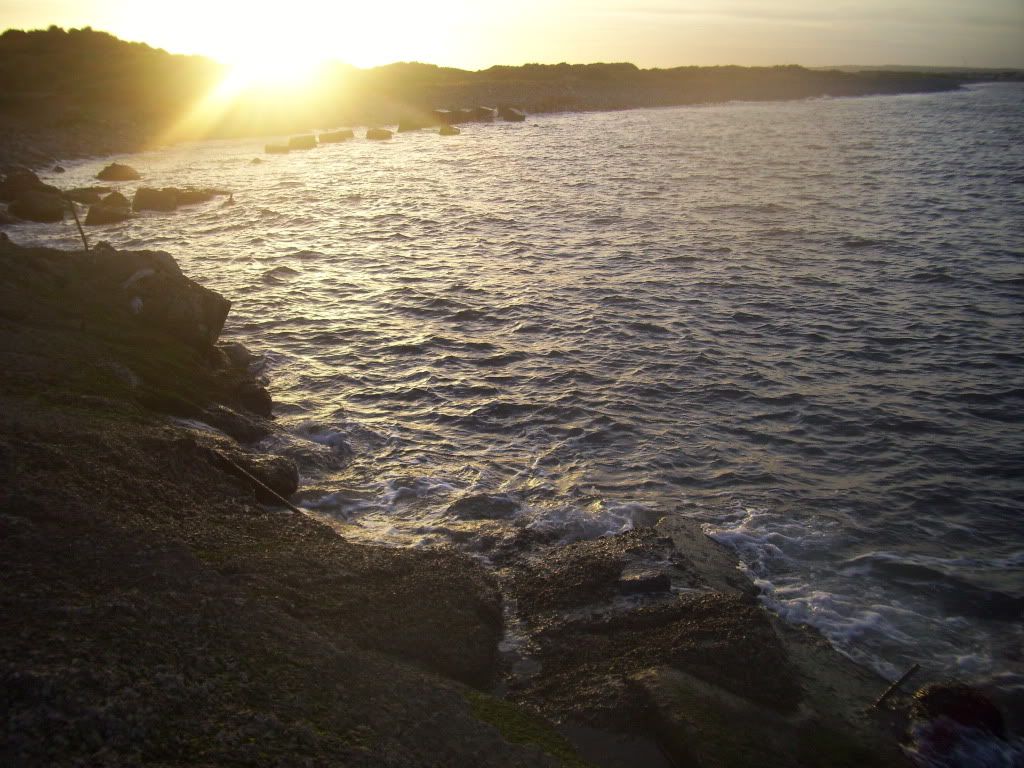 100_1827.jpg