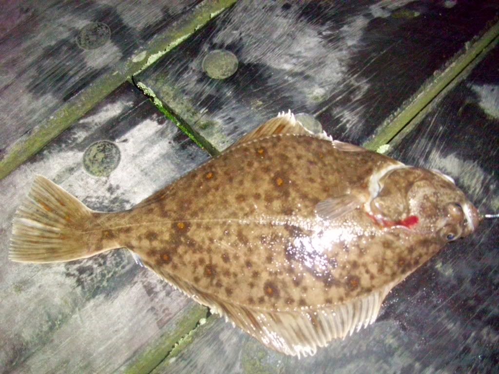 100_2078.jpg