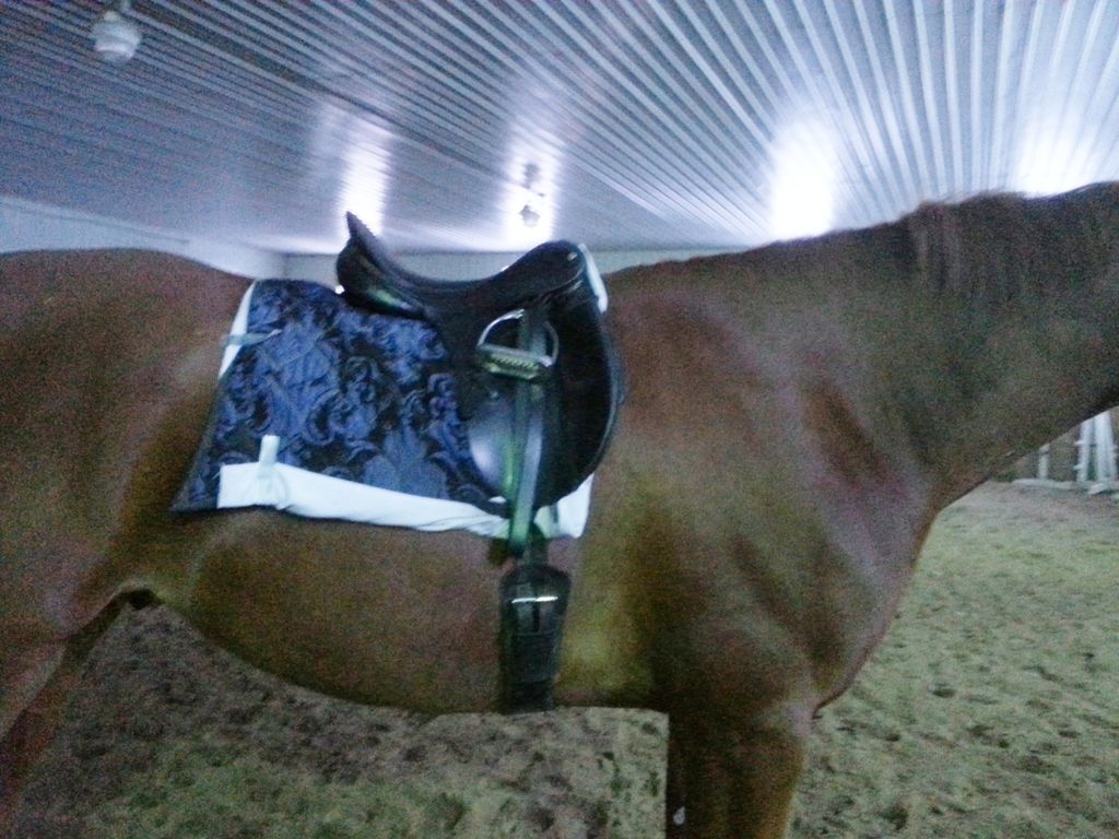Saddle fit or weak position? The Horse Forum