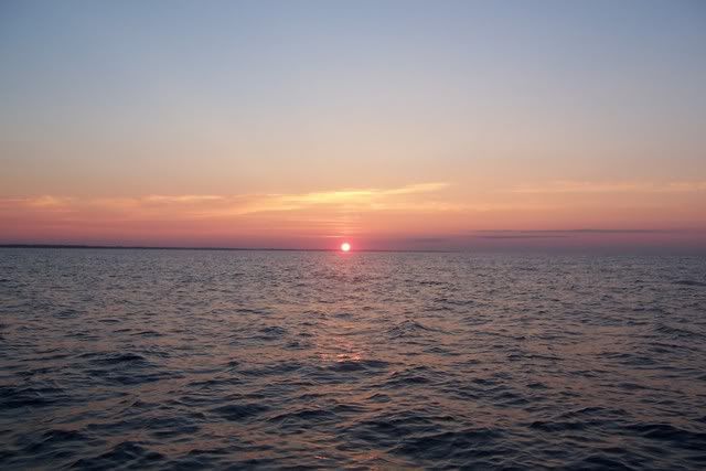 100_1938.jpg