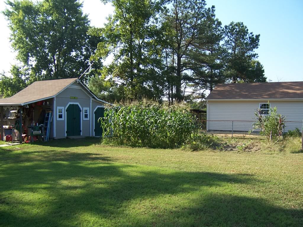 how to build a metal shed from scratch | Quick Woodworking Projects