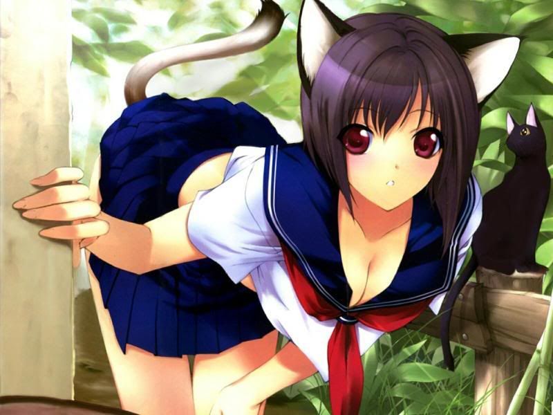 Obrázok “http://i182.photobucket.com/albums/x249/Daxter1990/Sexy%20Anime%20Girl/Nekos/4-1.jpg” sa nedá zobraziť, pretože obsahuje chyby.