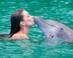 dolphin_kiss.jpg