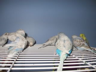 IMG_6507.jpg