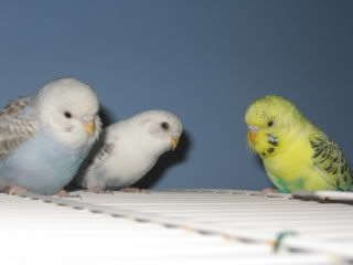 IMG_6512.jpg