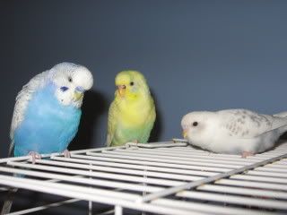 IMG_6517.jpg