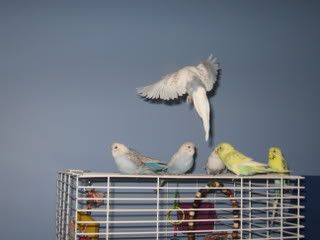 IMG_6527.jpg