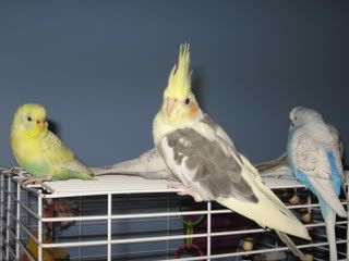 IMG_6545.jpg