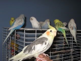 IMG_6551.jpg
