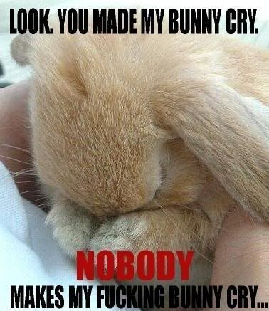 bunny