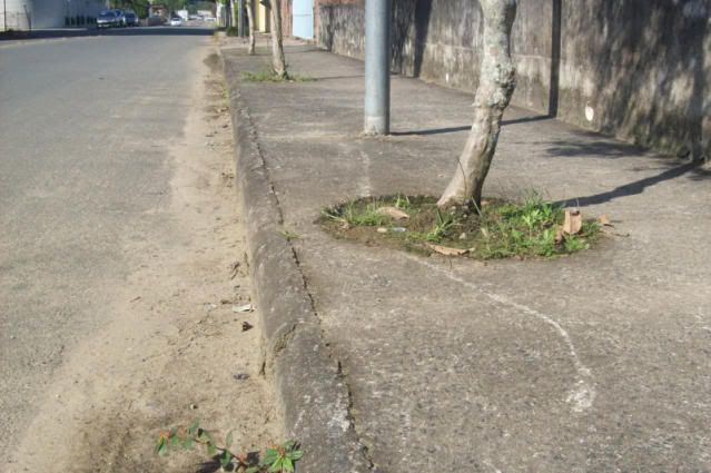 [Imagem: tombomoto011.jpg]