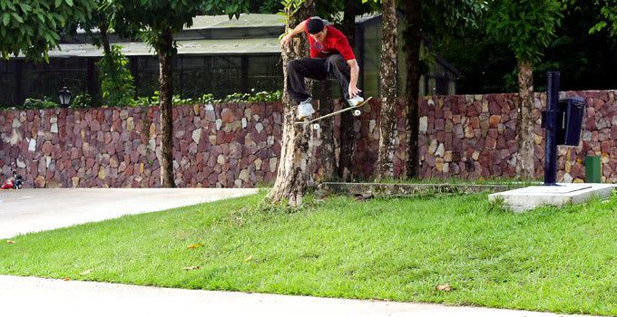 Ricardo Porva - Ollie