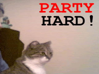 [Image: Partyhard_cat1.gif]