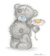 bear002.jpg