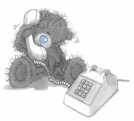 bear003.jpg