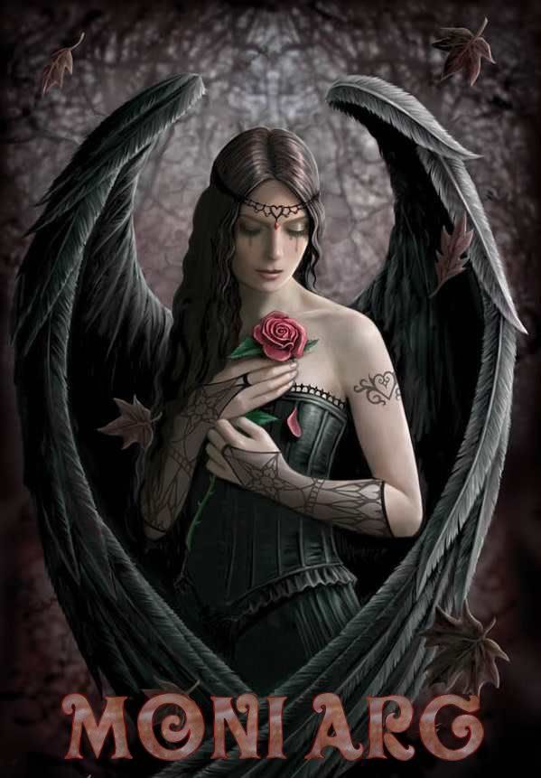 Angel_Rose_by_Ironshod.jpg picture by Linda_Pautierna